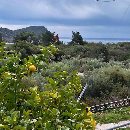 Lemon Tree House Tatil Evi