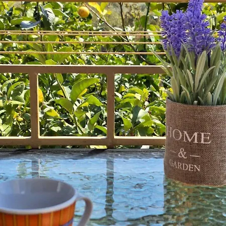 Holiday home Lemon Tree House