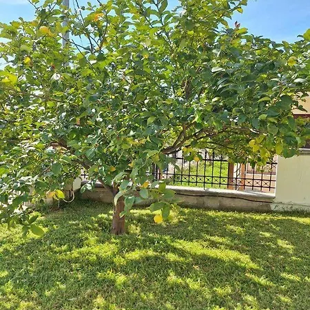 Holiday home Lemon Tree House