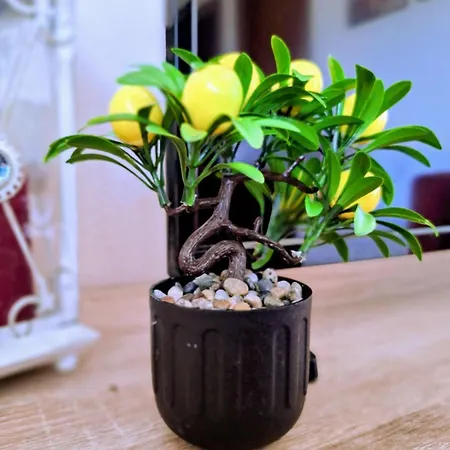 Holiday home Lemon Tree House