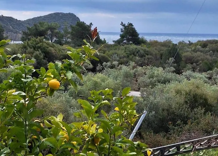 Lemon Tree House Σπίτι διακοπών